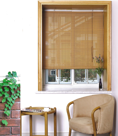 Plastic roller blind